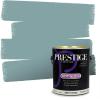imagePRESTIGE Paints Exterior Paint and Primer In One 1Gallon Satin Comparable Match of Benjamin Moore Polished Slate711BMPCM