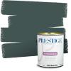 imagePRESTIGE Paints Exterior Paint and Primer In One 1Gallon Satin Comparable Match of Benjamin Moore Polished Slate714BMPCM