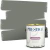 imagePRESTIGE Paints Interior Paint and Primer in One 1 Gallon SemiGloss PureCity Street