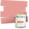 imagePRESTIGE Paints Interior Paint and Primer In One 1Gallon Eggshell Comparable Match of Benjamin Moore Unspoken Love1297BMPCM